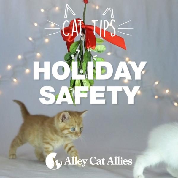 holiday-safety-1190181