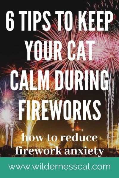 cats-and-fireworks-4-8083957
