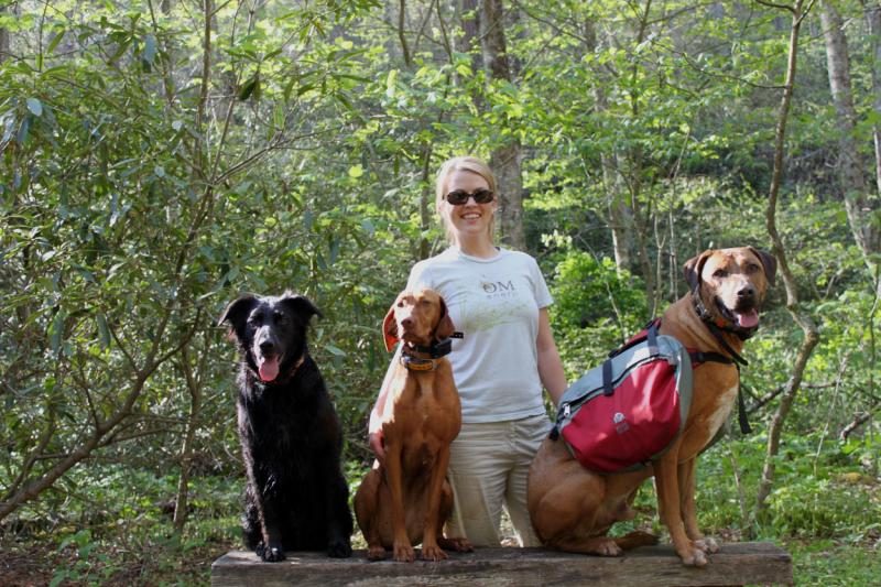 dog-owners-academy-best-dog-trainers-in-charlotte-hiking-with-your-dog-i9446-5581271