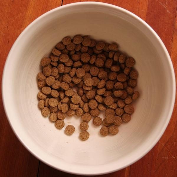 800px-dog_food_in_a_bowl-2243266