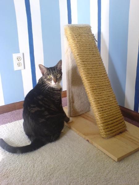 1200px-homemade_scratching_post-3959403