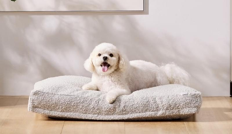 saatva-dog-bed-1994155