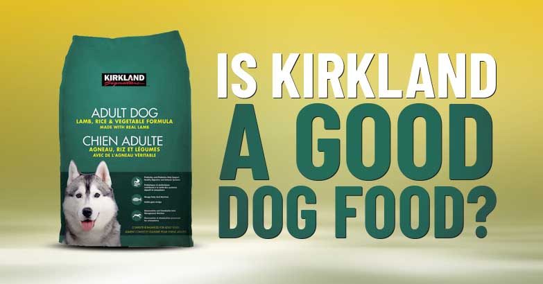 dn-is-kirkland-a-good-dogfood-1584093