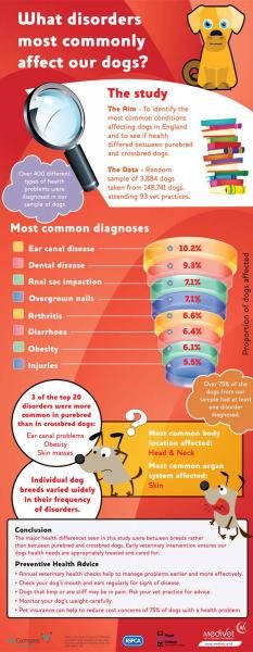 most-common-disorders-2015_op-min-1832997