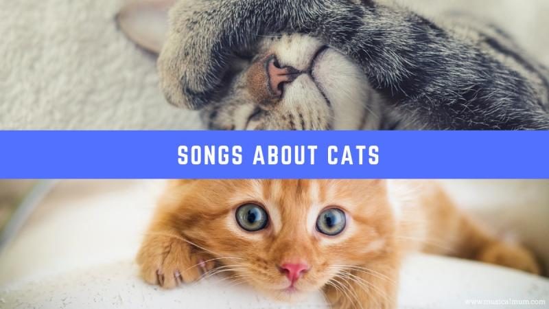 songs-about-cats-9621472