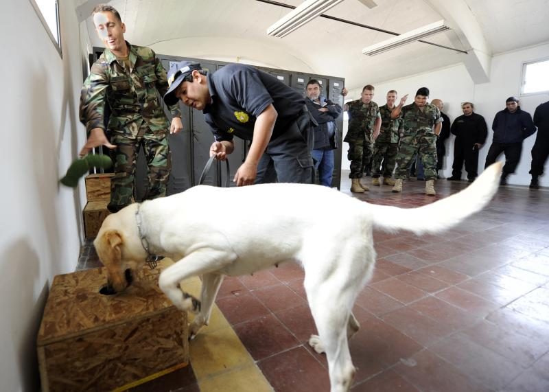 us_navy_101108-n-8546l-040_chief_master-at-arms_nick_estrada2c_left2c_a_u-s-_navy_military_working_dog_handler_from_orange2c_calif-7067013