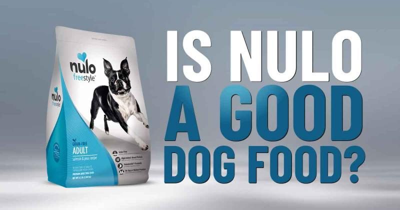 nulo-dog-food-reviews-fb-1322787