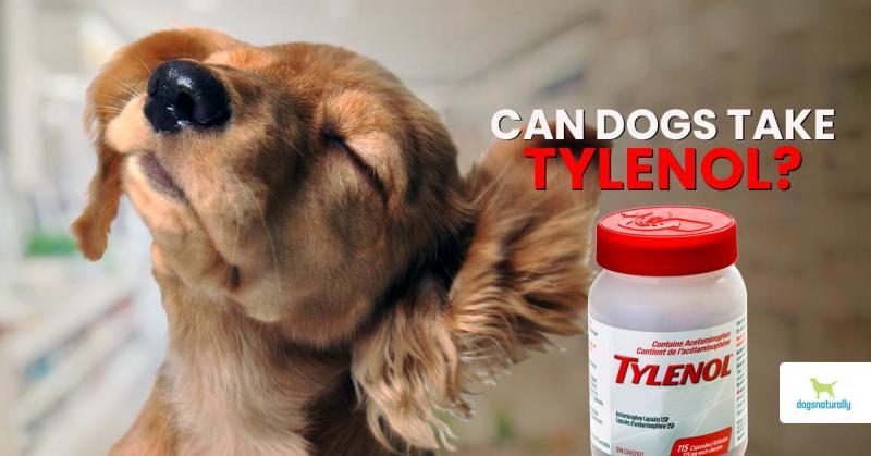 dn-tylenol-facebook-1200x628-1-6349774