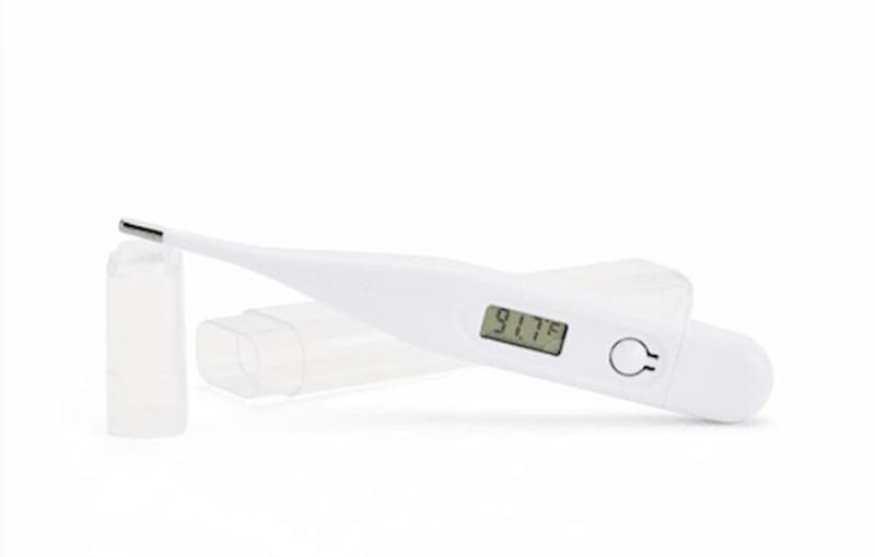 well-good-digital-pet-thermometer-2517790
