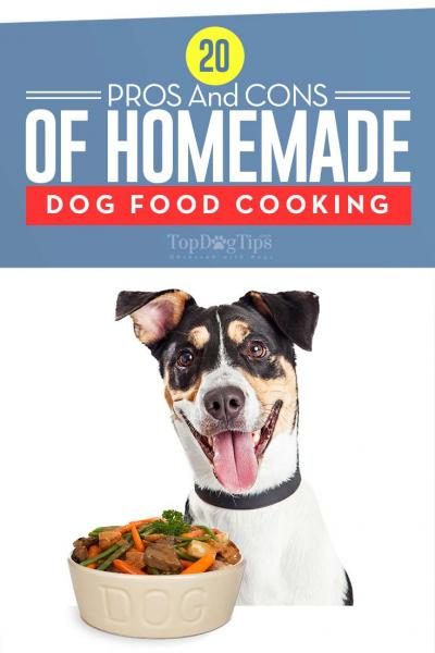 20-pros-and-cons-of-making-homemade-dog-foods-2974297