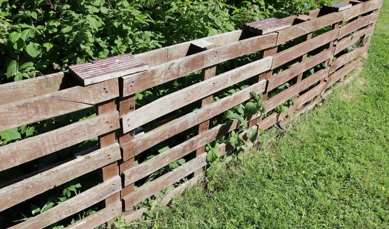 diy-dog-fence-1-5412679