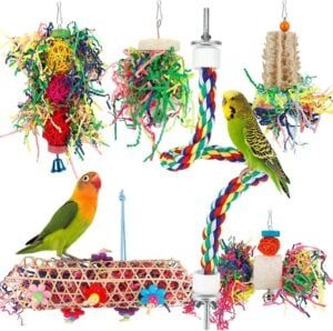 shredding-toys-for-pet-birds-300x298-3419817