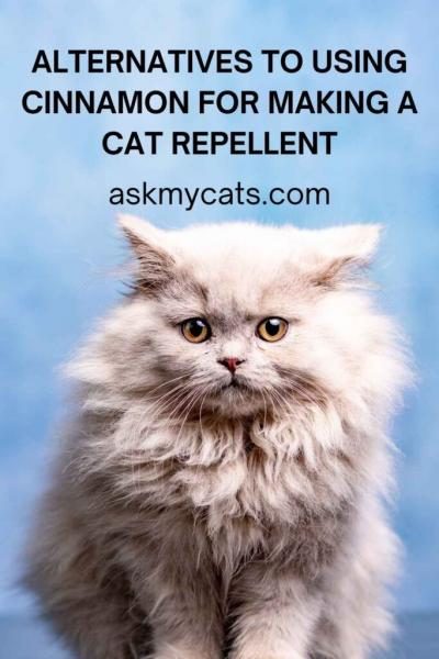 alternatives-to-using-cinnamon-for-making-a-cat-repellent-683x1024-7765049