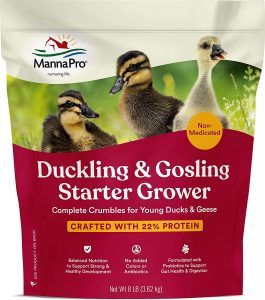 best-feed-for-duckling-and-gosling-265x300-5772353