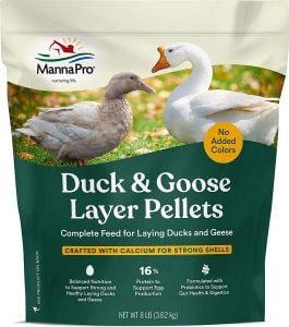 best-feed-for-laying-ducks-265x300-9015768