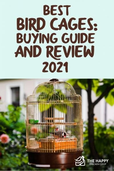 best-bird-cages-buying-guide-and-review-2021-683x1024-7658086