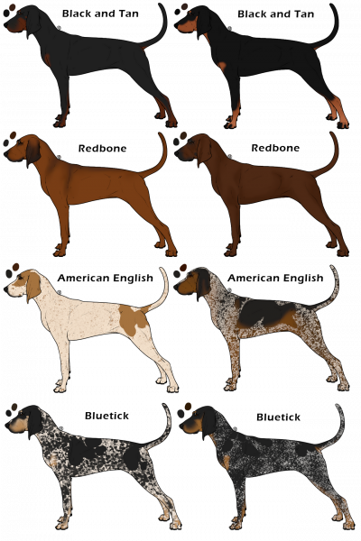 coonhound_party__closed__by_midnightayadarpg_df47vnc-fullview-6067921