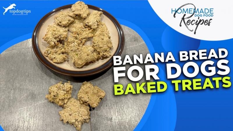 banana-bread-for-dogs-baked-treats-5377189