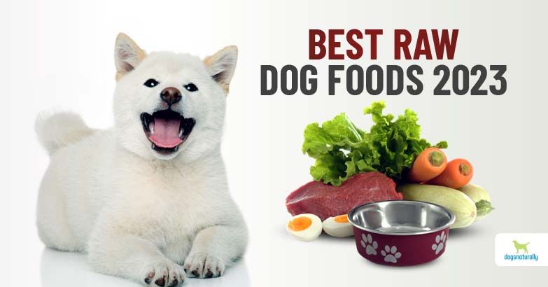 dn-website-783x410-rawdogfoods-2023-4752672