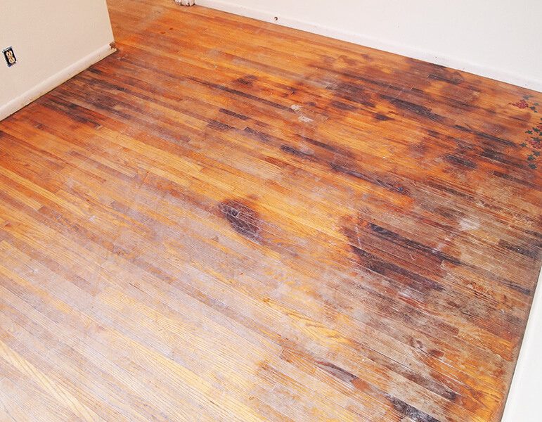 pet-stains-wood-floors-2415486