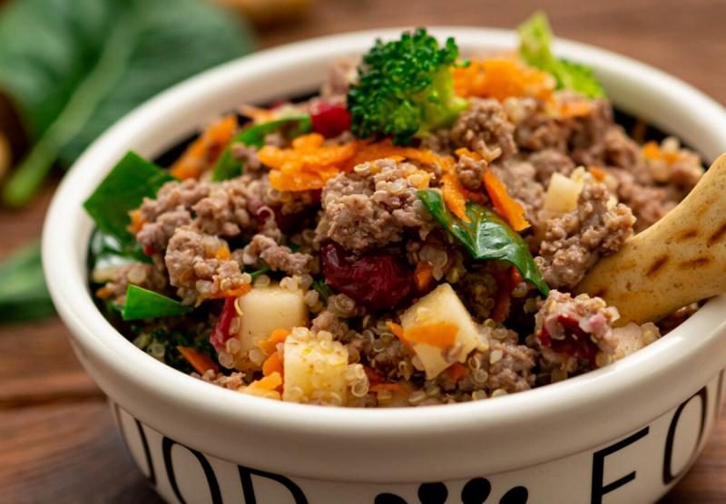 beef-and-turkey-dog-food-recipe-5-vertical-bowl-e1694808660225-1200x834-6527355