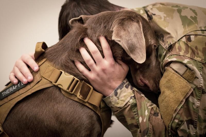 soldier-hugs-dog-8383484