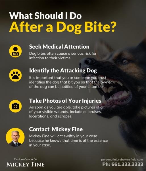 what-should-i-do-dog-bite-2684883
