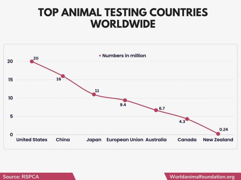 20 statystyk dotyczących testów na zwierzętach, które należy znać w 2024 r.