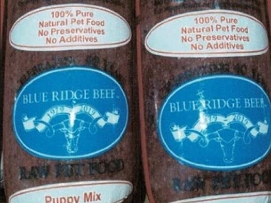 Karma dla kociąt Blue Ridge Beef wycofana z rynku