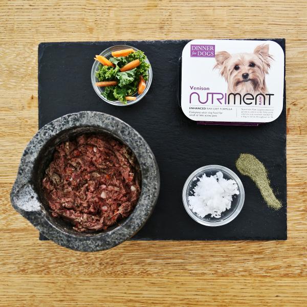 5 zalet dziczyzny w karmie dla psów: Dieta i zdrowie psów