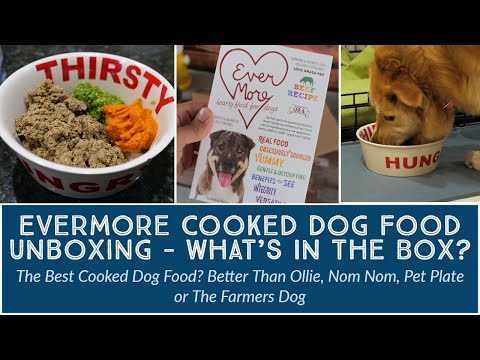 Evermore Dog Food Review 2024: Plusy, minusy i werdykt