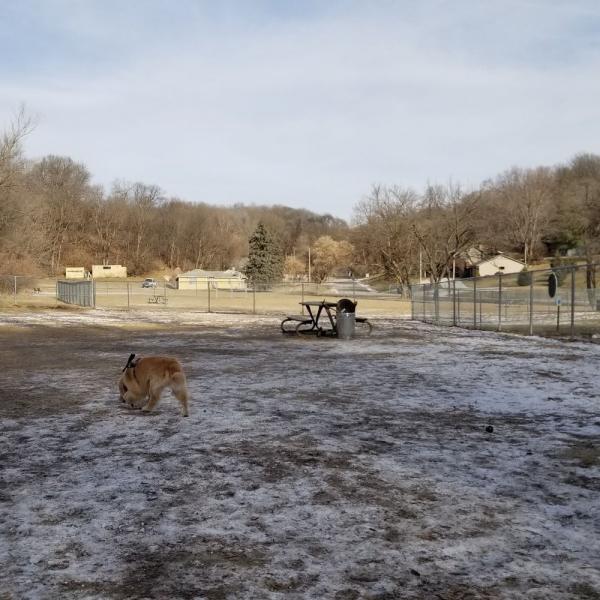 undefined6. Park dla psów Orchard Park: Położony w południowo-zachodniej części Omaha, Orchard Park Dog Park oferuje oddzielne obszary dla małych i dużych psów. Park ten znany jest z dobrze utrzymanych terenów i przyjaznej atmosfery, dzięki czemu jest popularnym wyborem wśród mieszkańców.