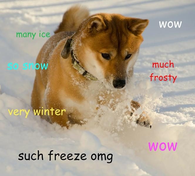 1200px-doge_meme_example-6346068