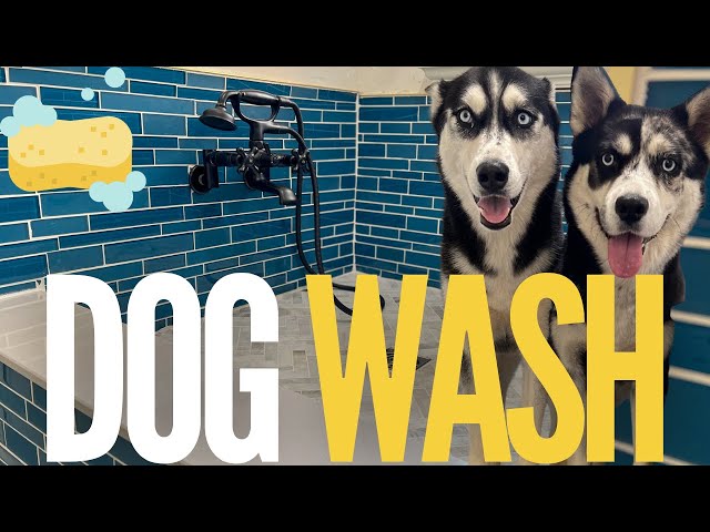 1. Zewnętrzny prysznic dla psów z rur PVC według Instructables