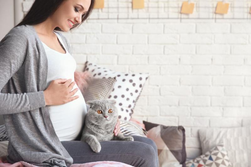 Czy koty mogą wyczuć ciążę? Co mówi nauka