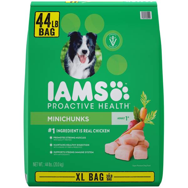 Iams Dog Food Review 2024: Plusy, minusy, wycofane produkty i najczęściej zadawane pytania