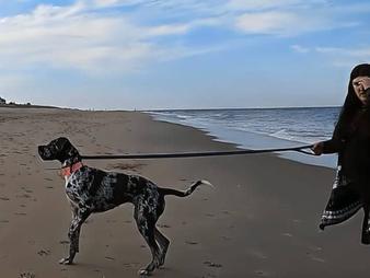 To tylko kilka z najlepszych plaż przyjaznych psom w Delaware. Niezależnie od tego, czy wolisz miejsca na smyczy, czy poza nią, każdy pies i właściciel znajdzie tu plażę dla siebie. Spakuj więc krem z filtrem, chwyć smycz i przygotuj się na przyjemny dzień na plaży ze swoim futrzanym przyjacielem!