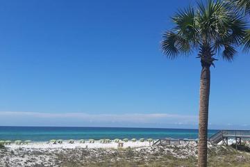 2. Położony na wyspie Okaloosa Gulfside City Park to kolejna świetna opcja dla właścicieli psów. Na tej plaży znajduje się wyznaczony obszar dla psów, w którym szczeniak może wędrować bez smyczy i kąpać się w wodzie. Dostępne są również prysznice i toalety, a także stoły piknikowe, przy których można się zrelaksować i zjeść posiłek ze swoim futrzanym przyjacielem.