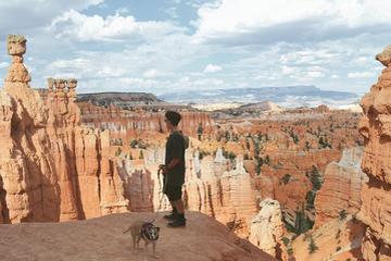 10 szlaków turystycznych przyjaznych psom w stanie Utah (przewodnik 2024)