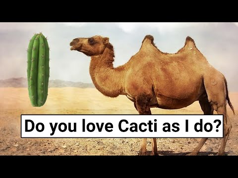 Inne zwierzęta jedzące kaktusy