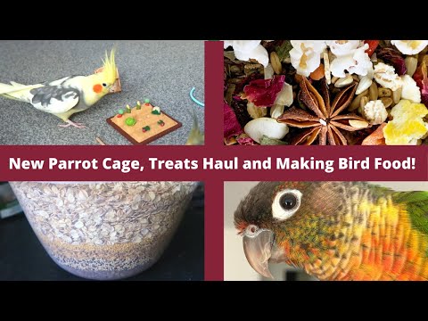 13 smakołyków DIY dla kakadu, które możesz zrobić już dziś (ze zdjęciami)