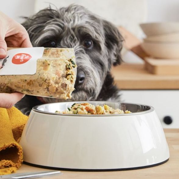 10 najlepszych dostaw świeżej karmy dla psów w Wielkiej Brytanii