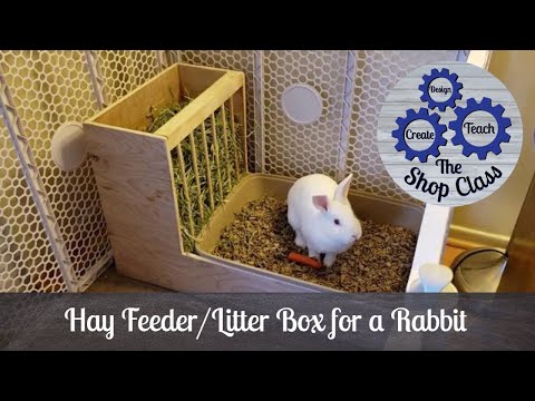 7 prostych karmników dla królików DIY, które możesz zbudować już dziś (ze zdjęciami)