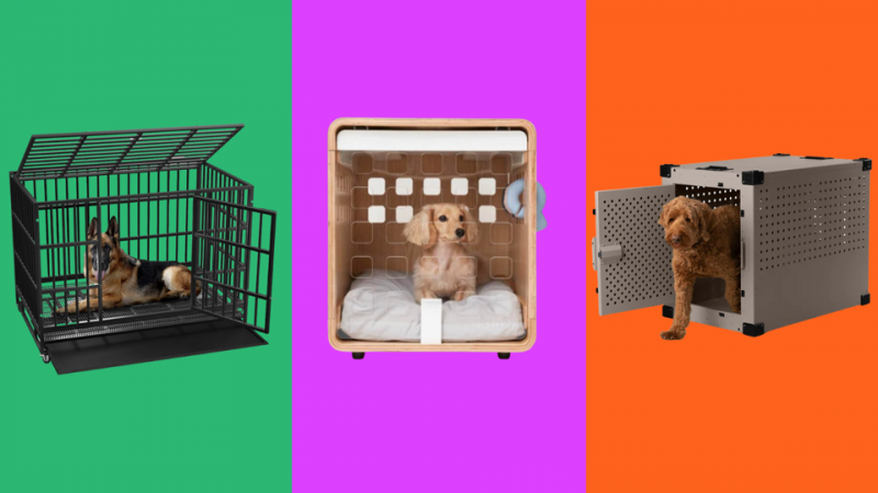 9. Merry Products Slide Aside Single Door Furniture Style Dog Crate & End Table