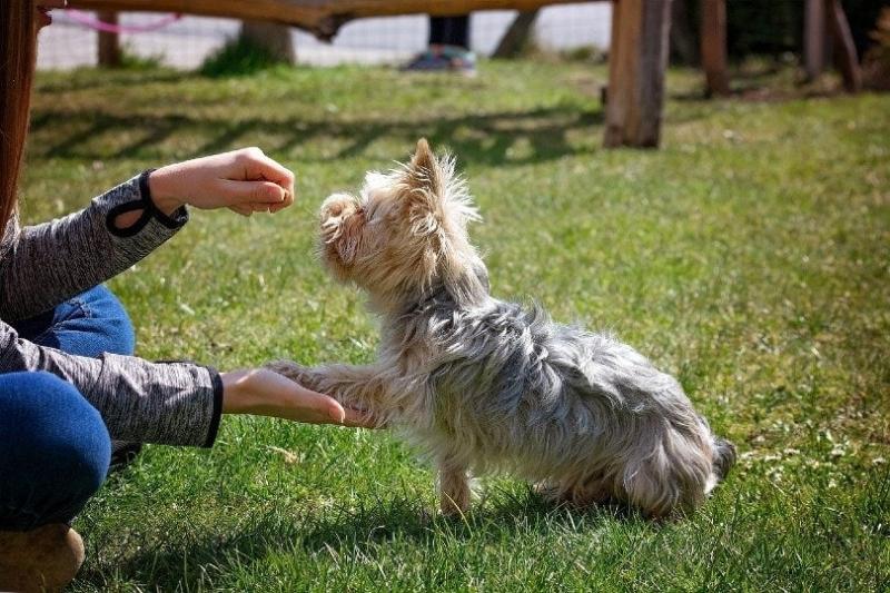 4. Sesje treningowe powinny być krótkie