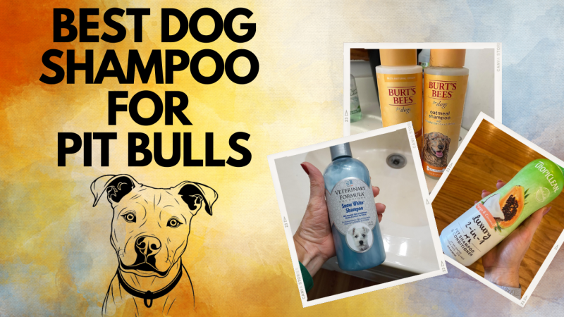 1. Hepper Colloidal Oatmeal Pet Shampoo - najlepszy ogólnie