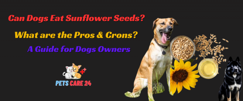 Czy psy mogą jeść nasiona słonecznika? Zatwierdzone przez weterynarza fakty żywieniowe i często zadawane pytania