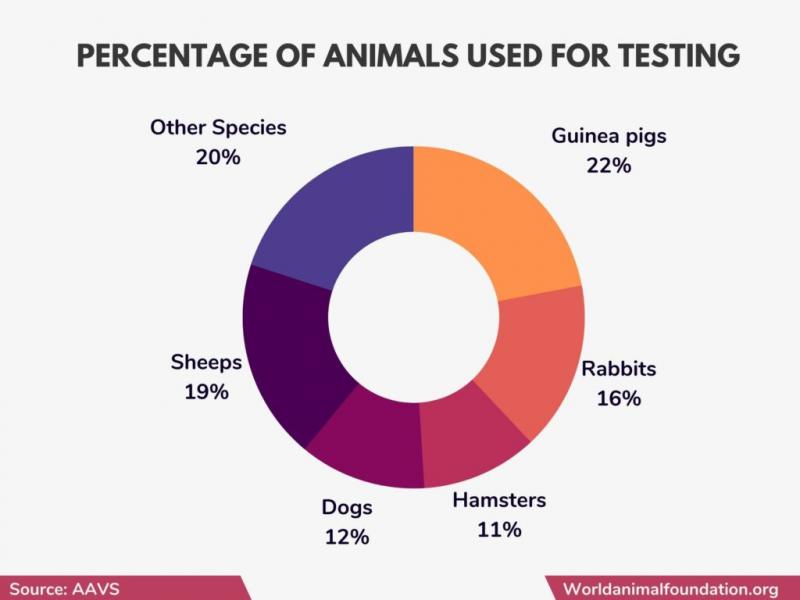 Jakie zwierzęta są wykorzystywane do testów i gdzie?