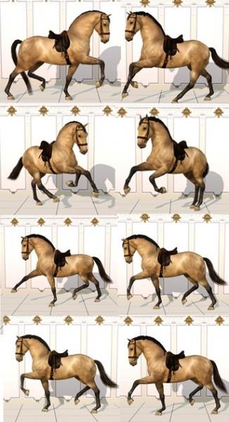 8 barokowych ras koni (ze zdjęciami)