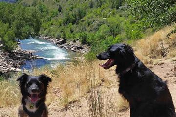 12 pięknych parków dla psów w Kolorado, które możesz odwiedzić ze swoim pupilem